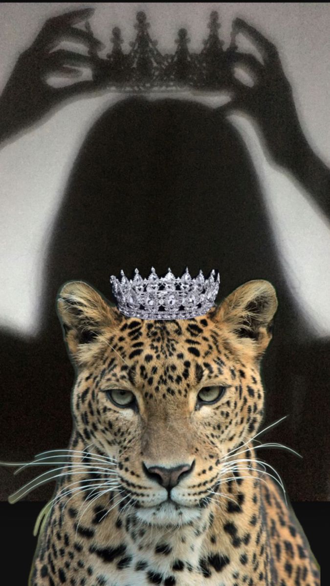 wallpaper0